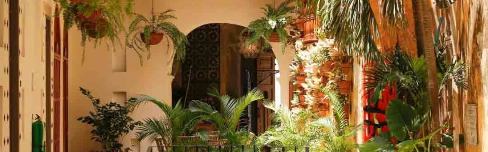 casalafactoria-20220601-0027